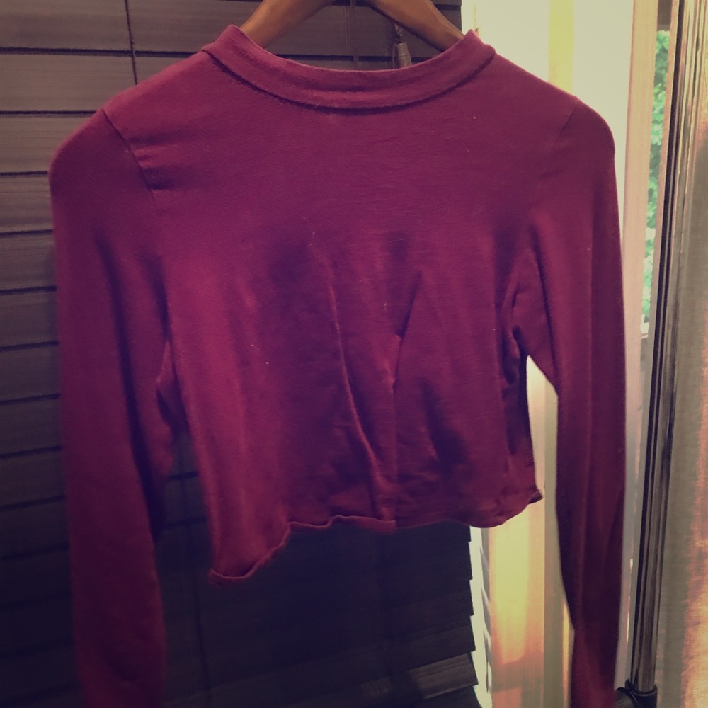 Maroon Crop Top